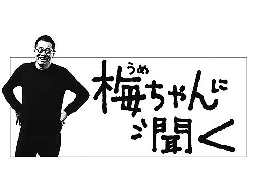 梅ちゃんにきくのイメージ